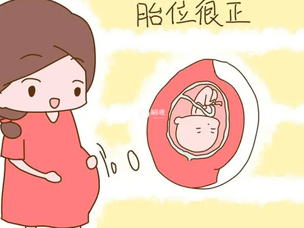 胎兒活動空間大可能變換體位