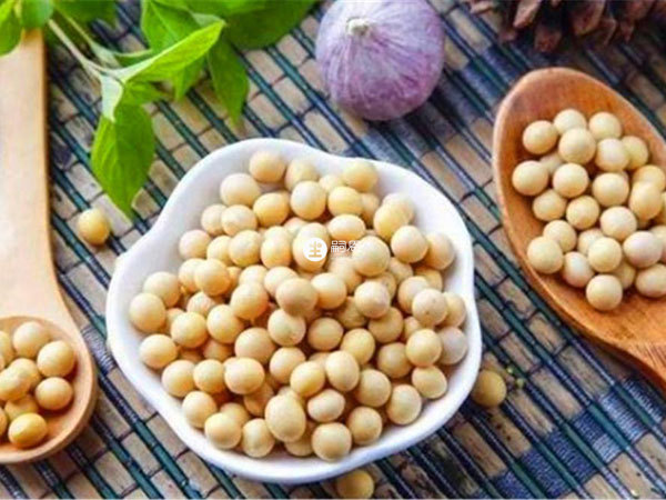 卵泡發育不好可以通過飲食調理