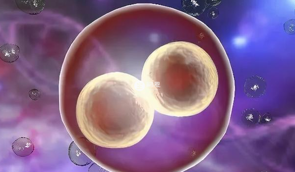 刺激卵泡直徑150微米