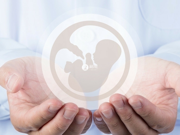 拉拉在國內不能做試管