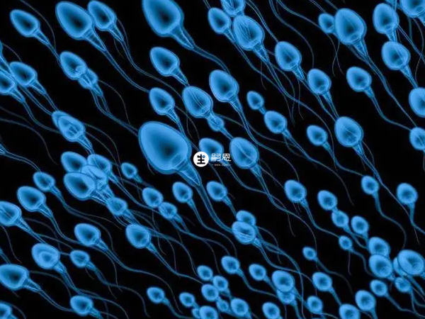 國內精子庫規模較小