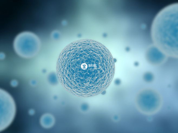 囊胚等級由1個數字和2個字母構成