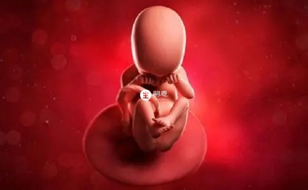 清宮表預測生男生女