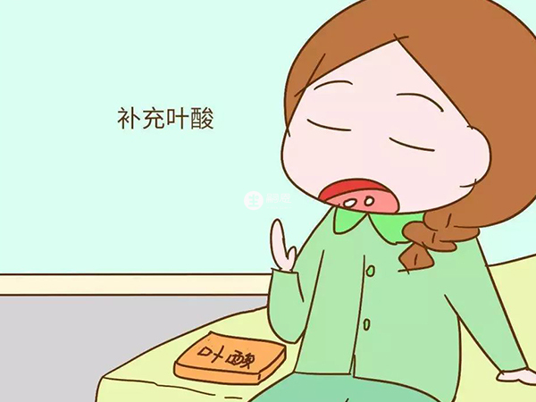 备孕补充叶酸好处多