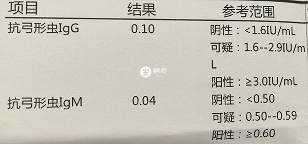 igm和igg是弓形蟲抗體的兩型