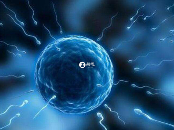 絕經後只能申請供卵做試管