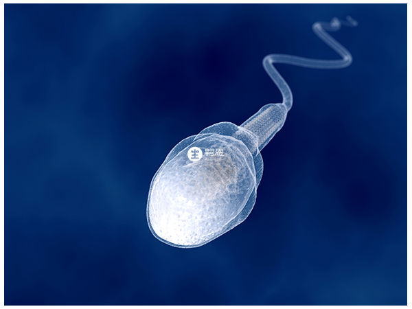 有血精症說明是有精囊炎