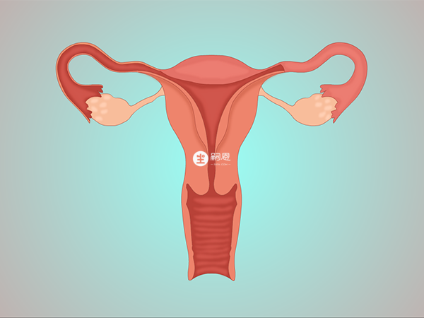 導致輸卵管疾病的原因有很多