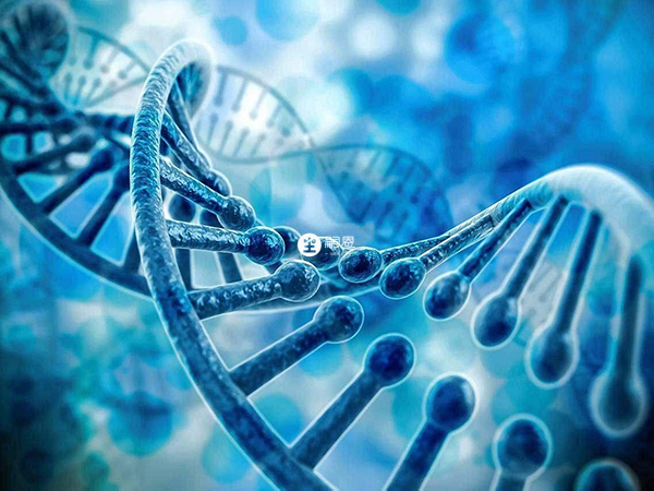 一般出現羅伯遜易位會考慮是遺傳的