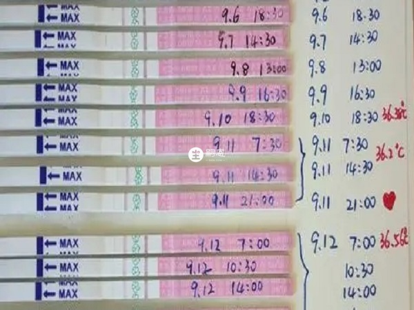 排卵試紙可以檢測排卵