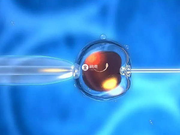 臺灣和內陸試管成功率均在百分之55左右
