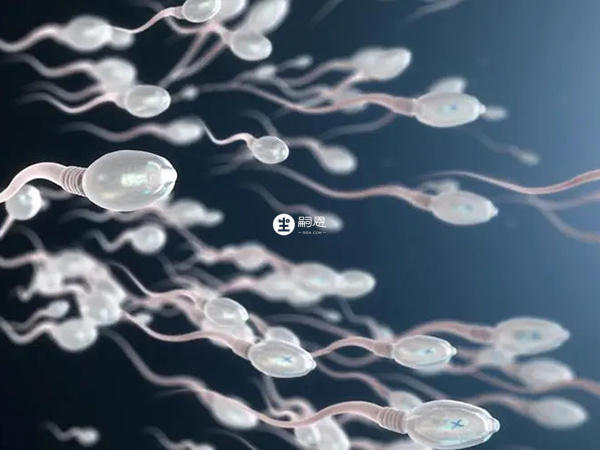 培精素連續吃一個月不管用