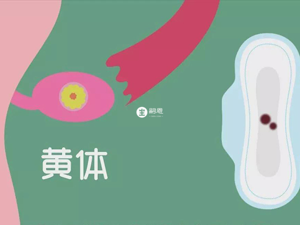 試管移植後需要黃體支援來達到保胎效果