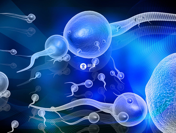 培精素屬於營養保健品