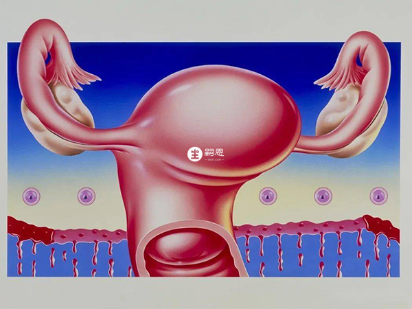 巢倍滋是一种女性保养卵巢的保健品