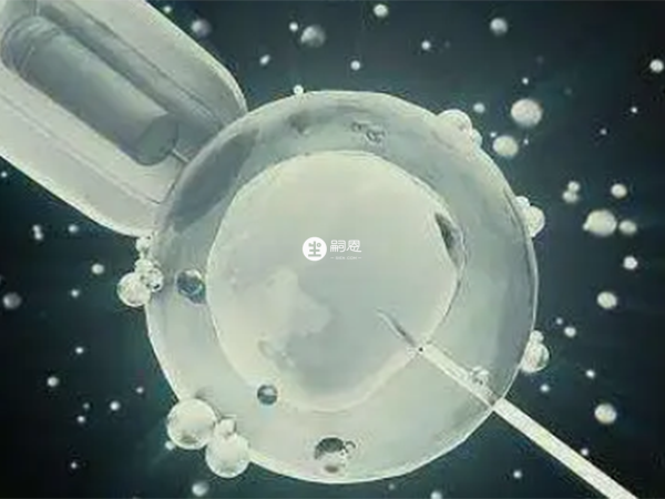 阿托西班着床针价格在2300左右一针