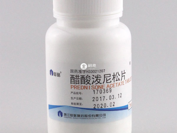 潑尼鬆能促進蛋白質分解