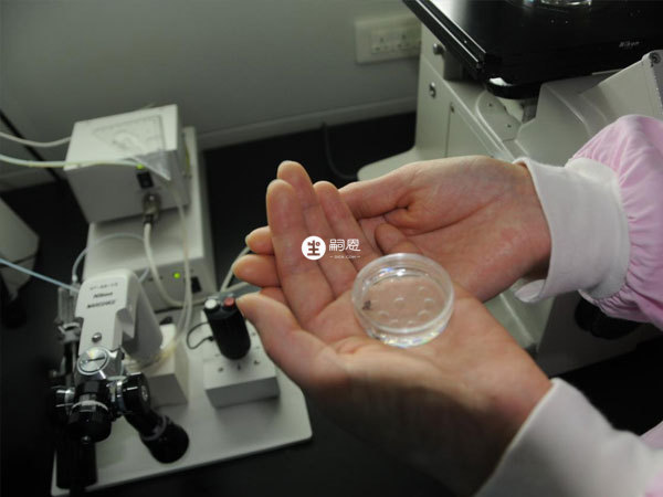 試管包成功是私立醫院招攬客人的一種說法