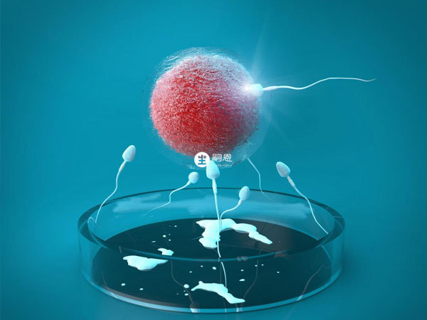 試管嬰兒並不能百分之百保證成功