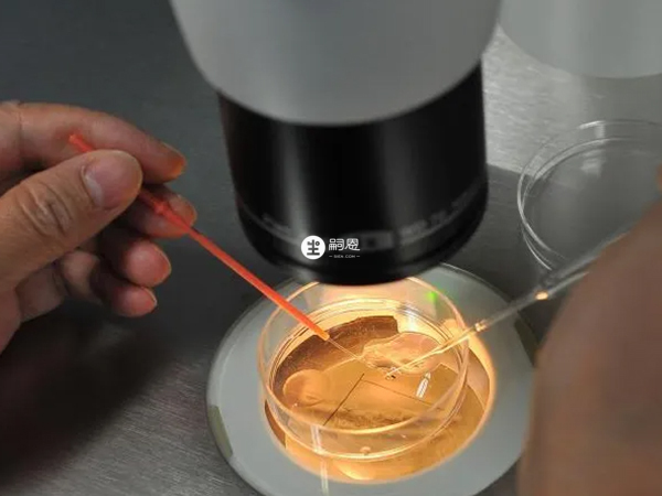 中信湘雅養囊技術比較成熟