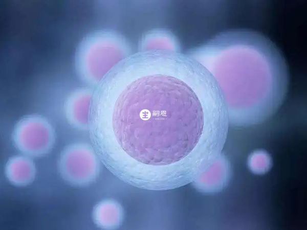 卵源較少自然很難建立卵子庫