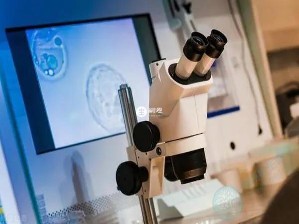 泰國距離近方便快捷,而且試管成功率高