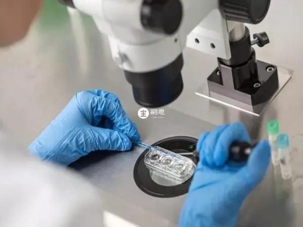 三代試管總體的成功率挺高的