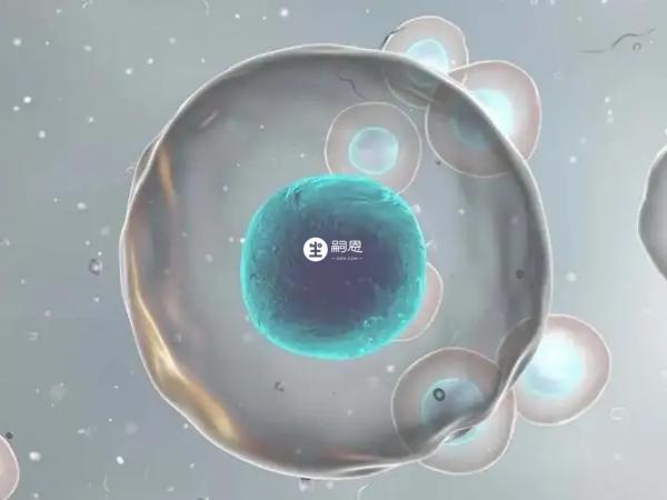 孕婦在懷孕期間不慎鉛中毒會造成流產