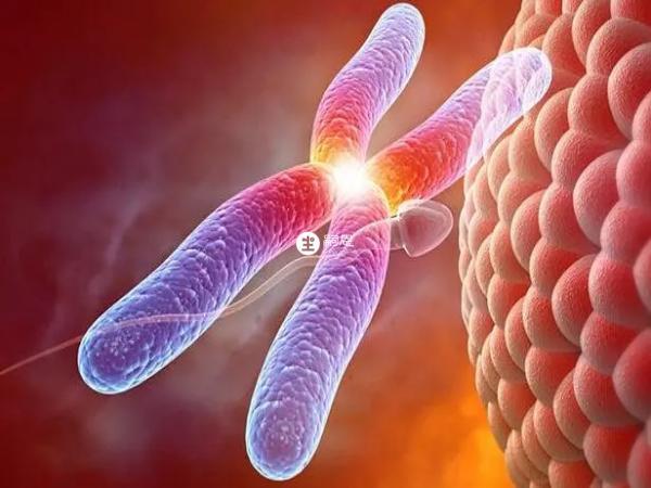 泰國的試管嬰兒技術十分成熟