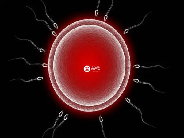 皮蛋會對體內營養物質的吸收產生影響