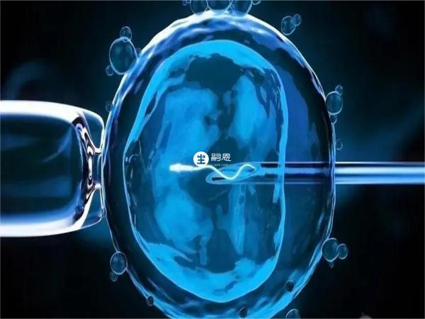 泰國的試管嬰兒技術屬於排名前列的水平