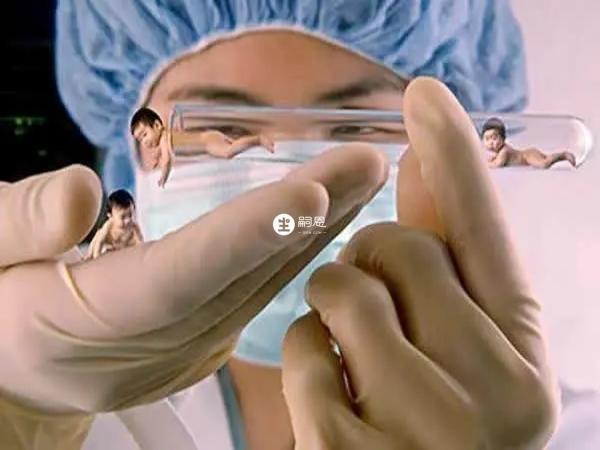 橙子中含有大量的維生素C