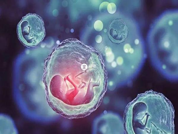 泰國三代試管成功率高