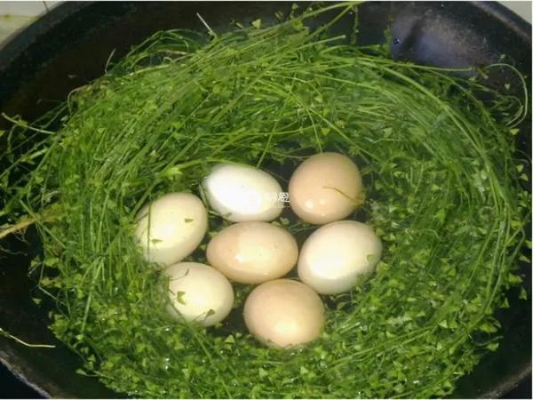 荠菜具有清热解毒、健脾明目等功效