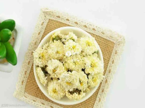 菊花在抗氧化防衰老等方面有卓越的功效