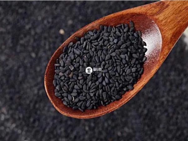 黑芝麻的營養價值非常高