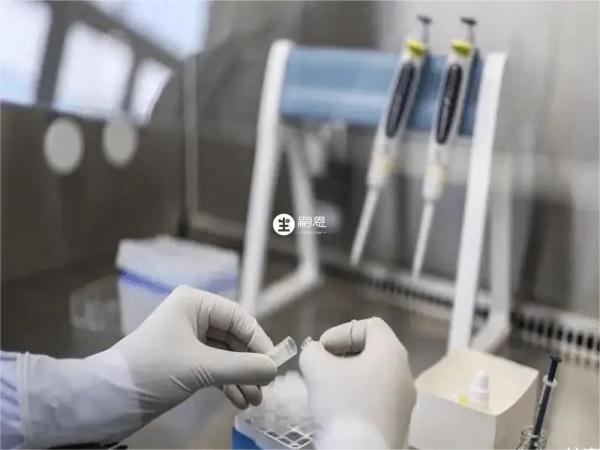 二代试管养囊成功率低可能是男性精子不好