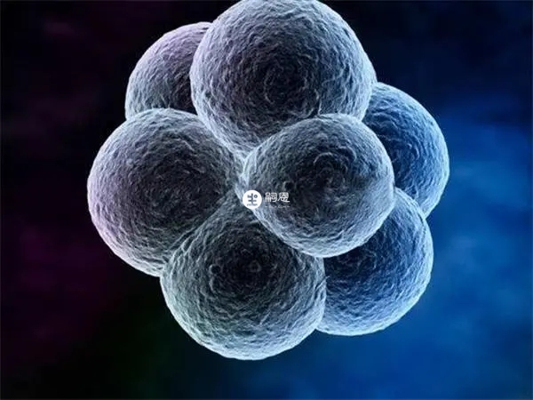 改变身体环境能增加怀男孩的概率