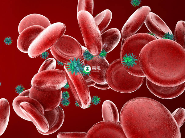 排卵不正常不一定能懷孕