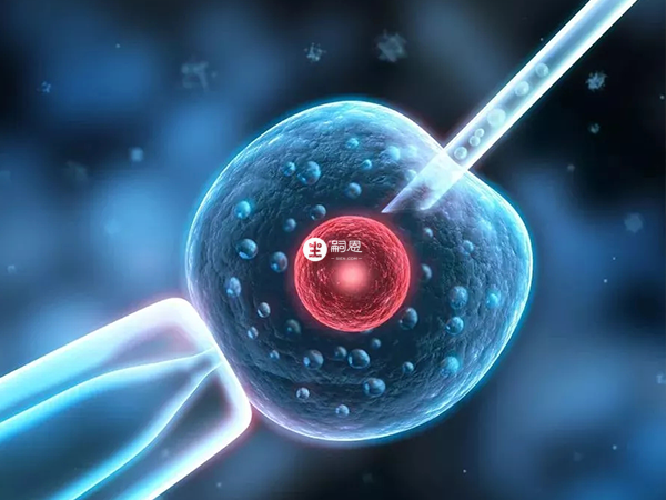 促排失敗就只能通過試管進行移植