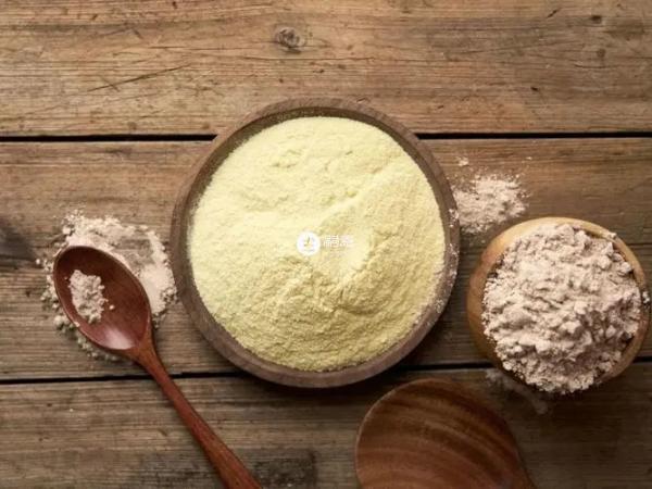 蛋白質會加重身體負擔