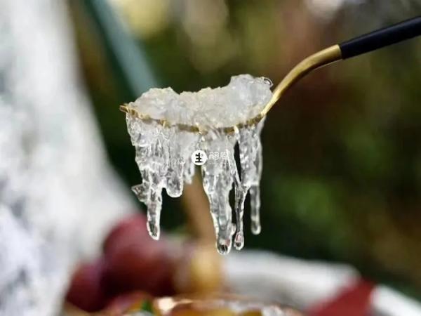 孕婦食用燕窩後易過敏