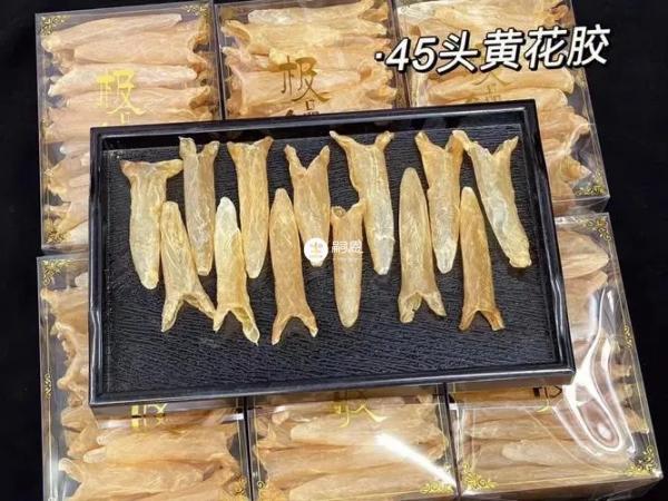 花胶的价格都是比较贵的