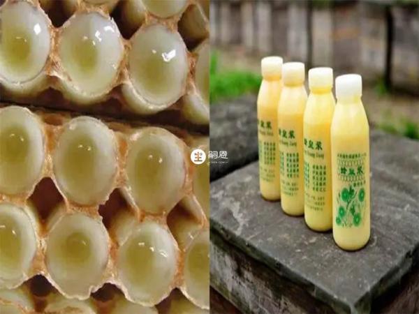 不是所有人都適合吃蜂王漿