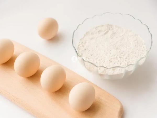 青少年適合蛋白質粉