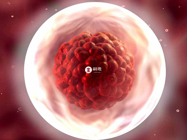 鮮胚移植後一週有感覺