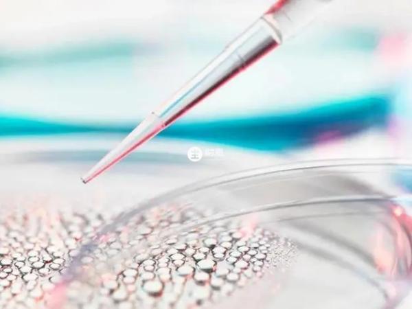 接種狂犬疫苗之後會產生抗狂犬病毒的抗體