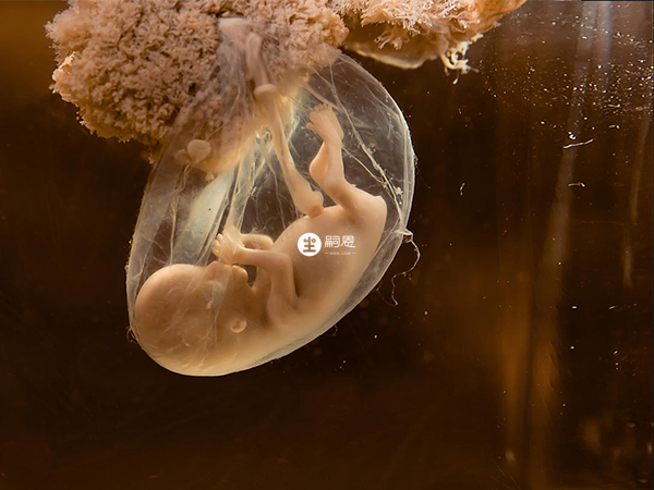 移植後需要等待14天才能驗孕