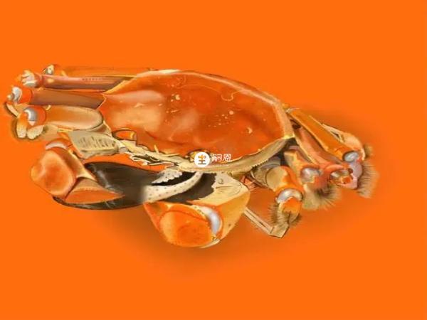 懷孕後禁吃螃蟹