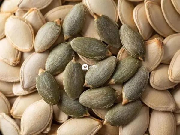 女性可以吃南瓜子